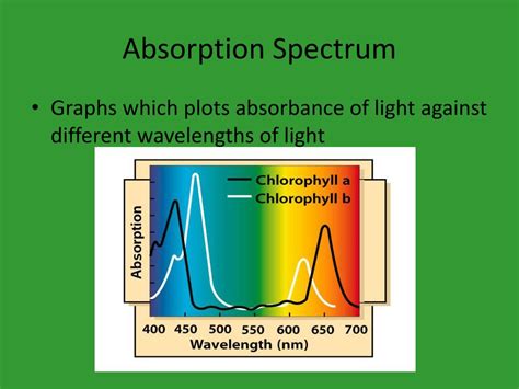 Ppt Photosynthesis Powerpoint Presentation Free Download Id6437100