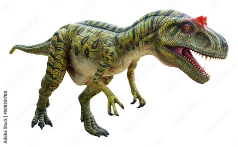 Eustreptospondylus Is A Carnivorous Genus Of A Megalosaurid Theropod Dinosaur From The Late