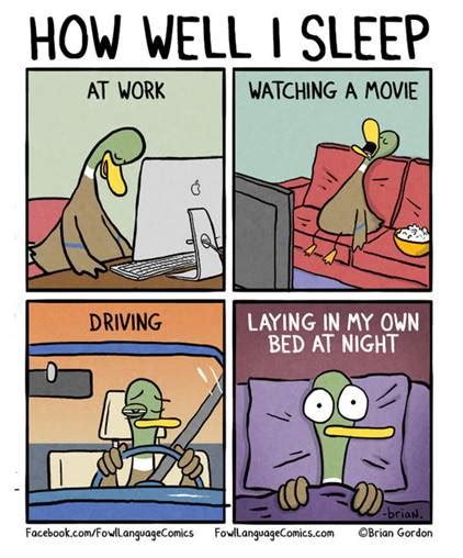 Funny Picture Quotes Funny Pictures Funny Duck Drive In Movie 