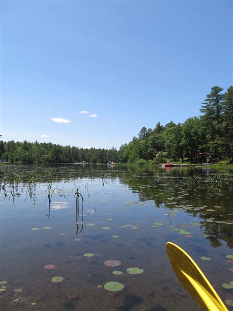 Recreational Kayaking In Maine Horne Pond Limington