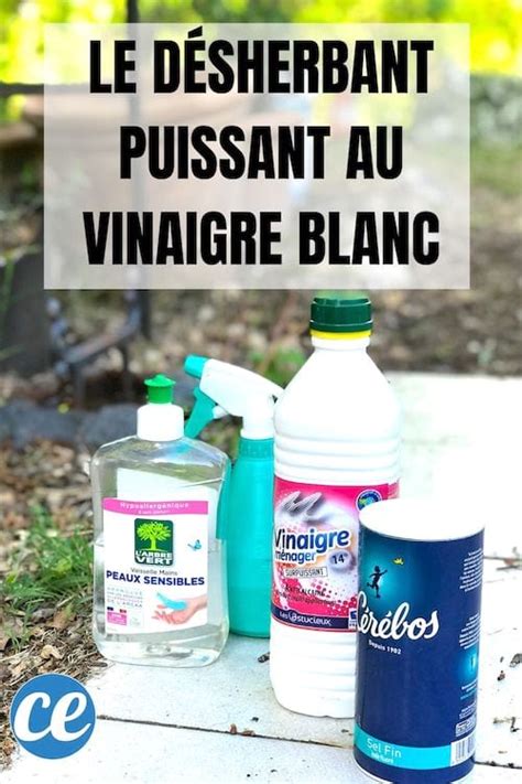 Puissant et Facile à Faire le Désherbant Maison au Vinaigre Blanc