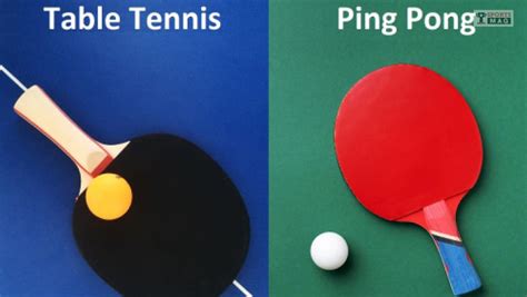 Ping Pong Vs Table Tennis Whats The Differences Tsm