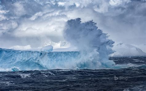 Iceberg Floating Off The Coast Of Antarctica Bing