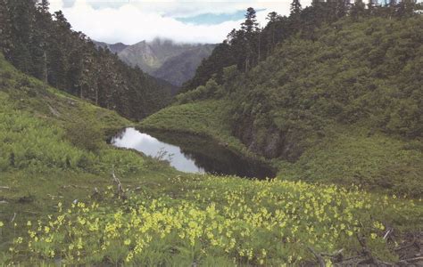 Three Parallel Rivers Of Yunnan Protected Areas Baimang Flickr