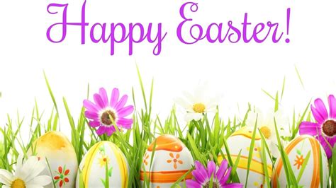 Wish You Happy Easter Happy Spring Wishes For Easter Cards 2017 Wish