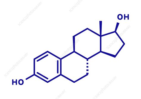 Estradiol Female Sex Hormone Molecule Illustration Stock Image