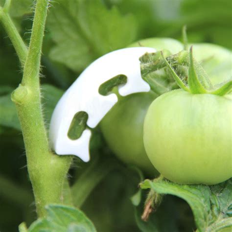 100pcs Plant Tomato Clip Fastener Plant Vines Vegetable Farming Clip