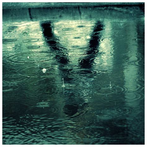 A Collection Of Rain Photography