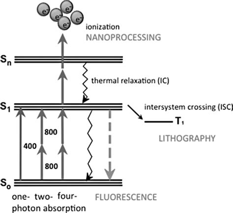 Fig 11 Multiphoton Effects In Femtosecond Laser Microscopes Include