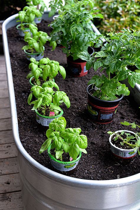 40 Best Porch Vegetable Garden Ideas Vegetable Garden Container