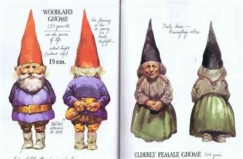 Gnomes A Whole World Of Whimsy Gnomes Illustration Art