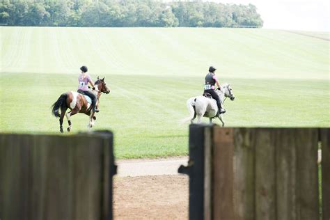 Racing Welfare Set For Second Newmarket Heath Ride After Sell Out Event