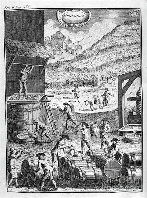 Grape Harvest 1775 By Print Collector