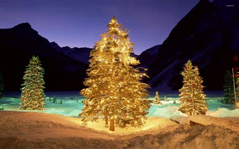 Christmas Trees In The Snowy Nature Wallpaper Nature Wallpapers 51961