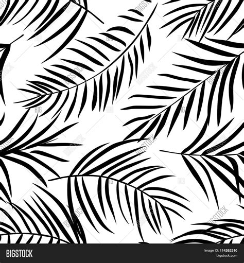 Palm Leaf Drawing At Getdrawings Free Download