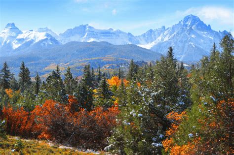 Dont Miss Out Heres Where To View Colorado Fall Foliage