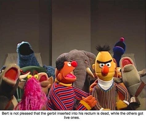 Cookie Monster And Grover Have Lively Ones Bertstrips Funny