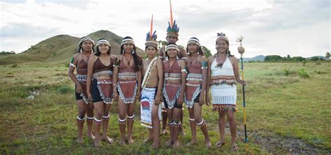 Amerindian Heritage Celebrations 2020 Cobra Collective