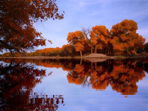 무료 이미지 경치 나무 자연 아침 잎 호수 강 못 저녁 가을 시즌 후 Populus 반사 아름다운