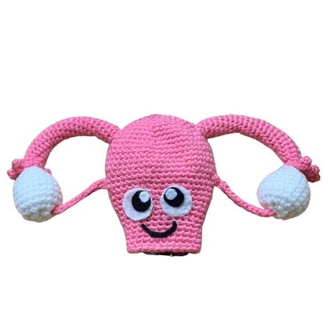 Uterus Plushie Removable Heat Pack Amigurumi Crochet Etsy