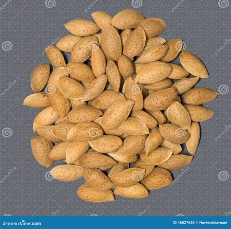 Almond With Shell Stock Photo Image Of Dryfruits Almonds 46027636