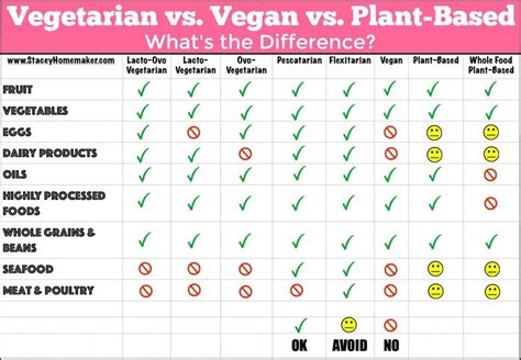15 incredible vegan vs plant based diet best product reviews