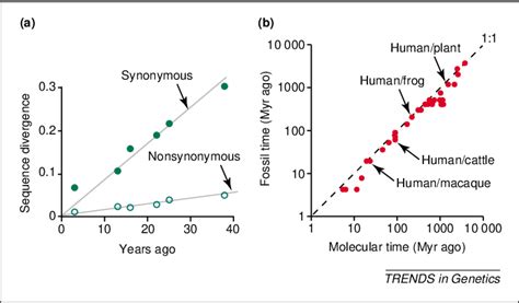 Figure 1 From Genomic Clocks And Evolutionary Timescales Semantic