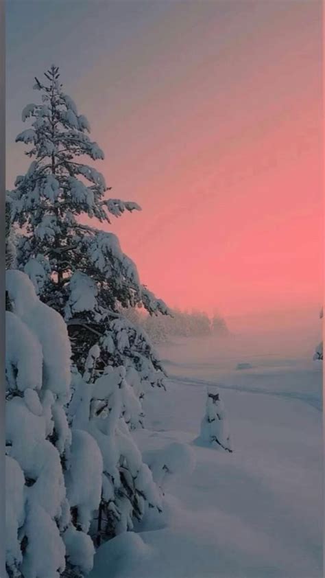 So Beautiful How Long Would You Just Stare Winter Wallpaper Winter