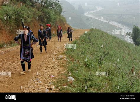 Woman hmong in the Rice terraces nearby of Lao Chai village. Trekking ...