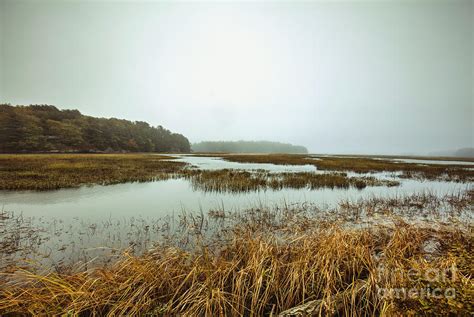 Marsh Of Maine Coast Photograph By Felix Lai Fine Art America