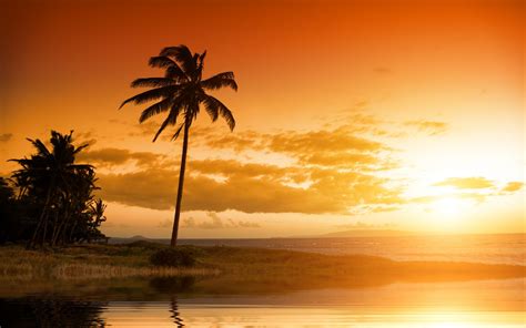 Beach Palm Trees Sunset Sunlight Sky Clouds 1920x1200 Wallpaper