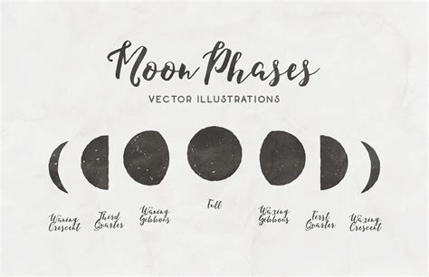 Moon Phases Free Vector Illustrations — Medialoot