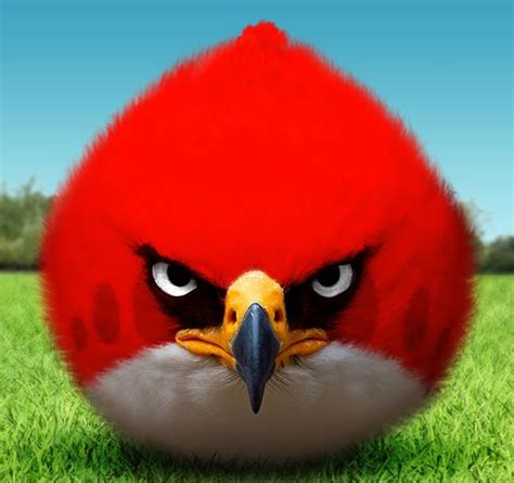 Leatherjakt Angry Birds Fan Art