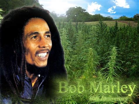 Pick up your copy of the 'bob marley: Bob Marley Tour