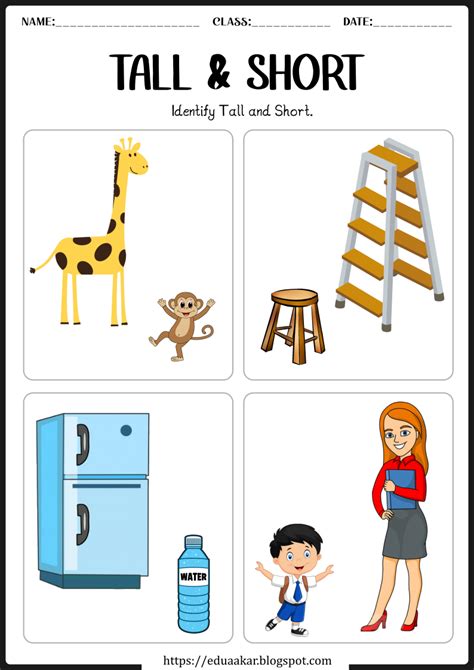 Tall And Short Worksheets For Kids Pre Math Concept