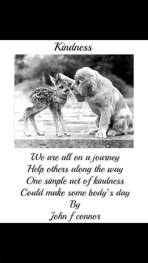 Kindness To Animals Quote Love All Life Express Acts Of Love And