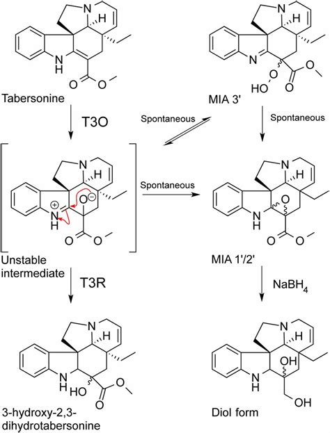 Completion Of The Seven Step Pathway From Tabersonine To The Anticancer