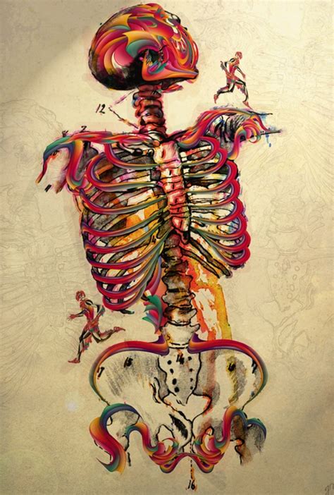 Pin By Holls On Weird Things That Intrigue Me Skeleton Art Anatomy Art Skull Art