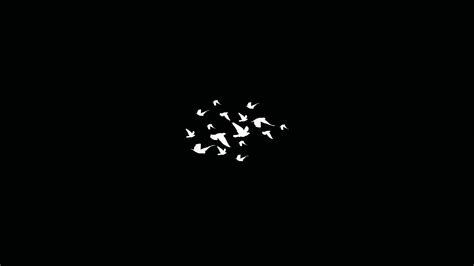 2560x1440 Birds Flying Minimalist Dark 4k 1440p Resolution Hd 4k