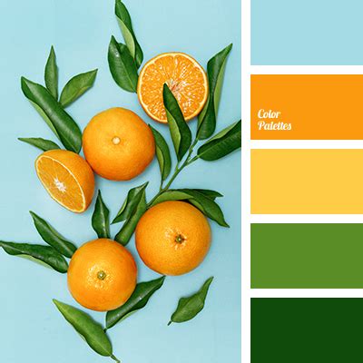 Orange colors used in living rooms add autumnul grace to your space. Color Palette #3702 | Color Palette Ideas