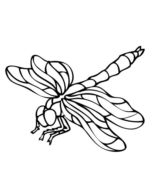 Coloring pages of dragonfly for kids. Dragonflies coloring pages download and print for free