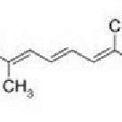 Biosynthetic Pathway Of Carotenoids Capsanthin In Capsicum