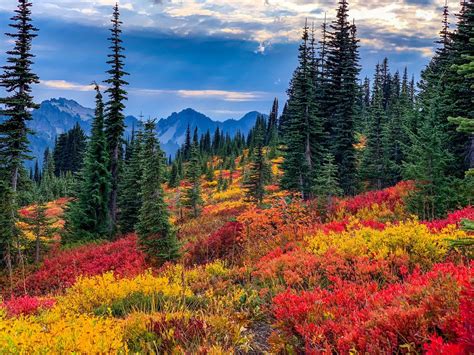 10 Seattle Area Hikes For Seeing Beautiful Fall Colors Cascade