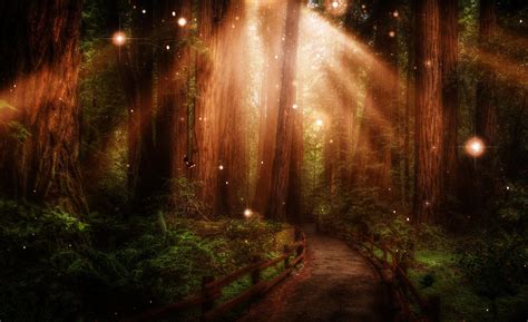 Forest Path By Nikos23a On Deviantart