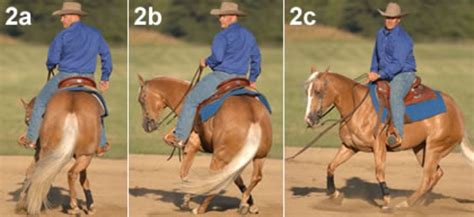 Reining Hand Position In The Rollback Spin Expert Advice On Horse