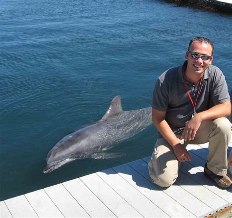 Dr Hendrik Nollens Sea World Marine Animal Veterinarian Uc Davis
