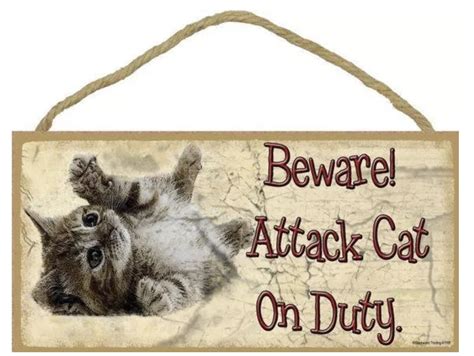 15 Beware Of Cat Signs That Are More Funny Than Menacing