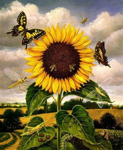 Pin On Sunflowersssss~art~