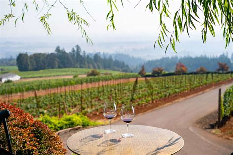 Helpful Guide Oregon Wine Regions Worth Getting Excited Over