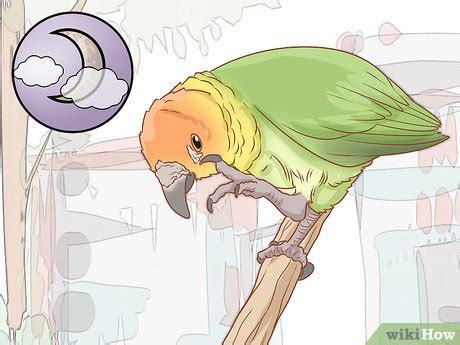 If you have a bird mite infestation, then you are at a higher risk of getting bitten by a mite. How to Tell if Your Bird Has Mites: 14 Steps (with Pictures)